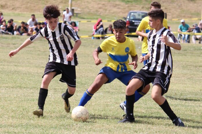 Torneo Experimental Sub-14